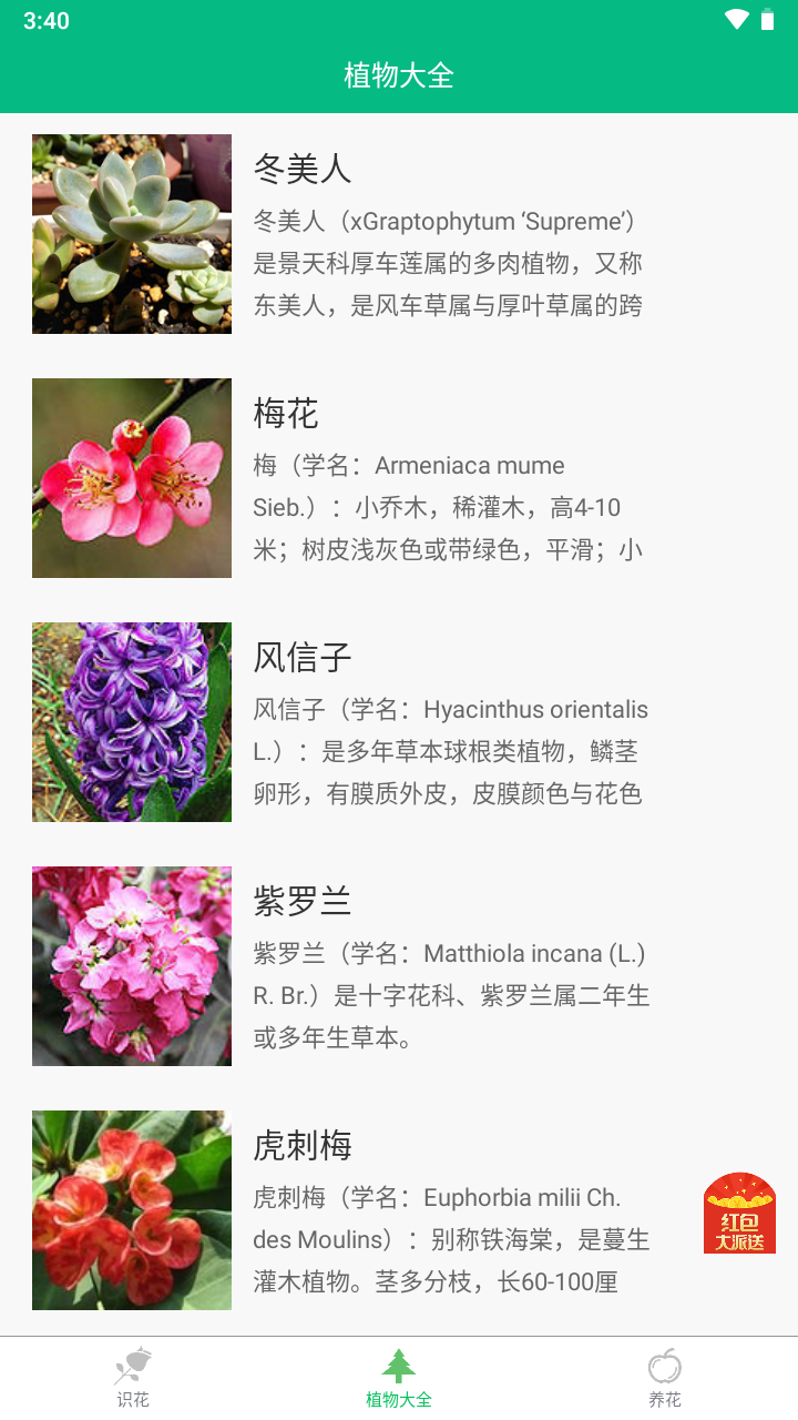 数码