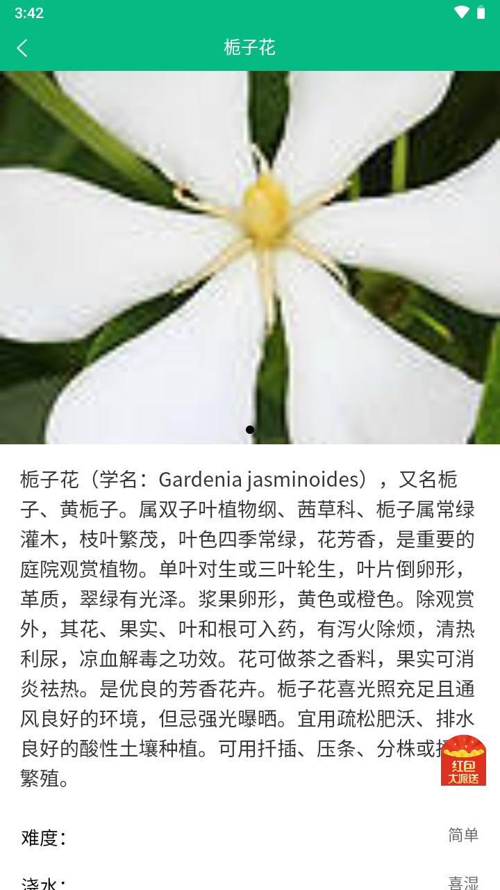 我的